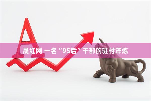 晟红网 一名“95后”干部的驻村淬炼