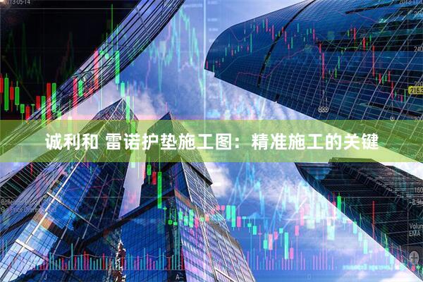 诚利和 雷诺护垫施工图：精准施工的关键