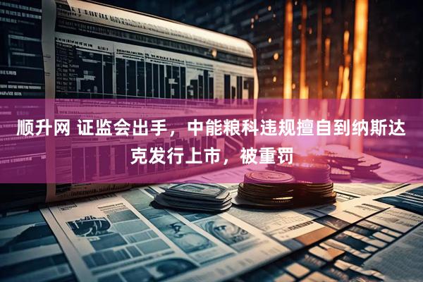 顺升网 证监会出手,中能粮科违规擅自到纳斯达克发行上市,被重罚
